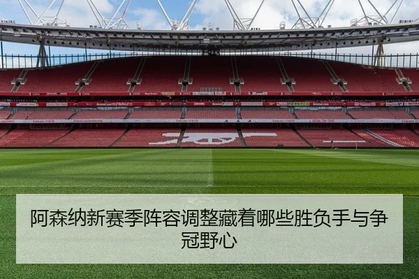 阿森纳新赛季阵容调整藏着哪些胜负手与争冠野心